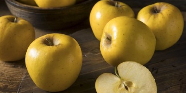 تصویر 4 از خرید سیب زرد دماوند + قیمت فروش استثنایی